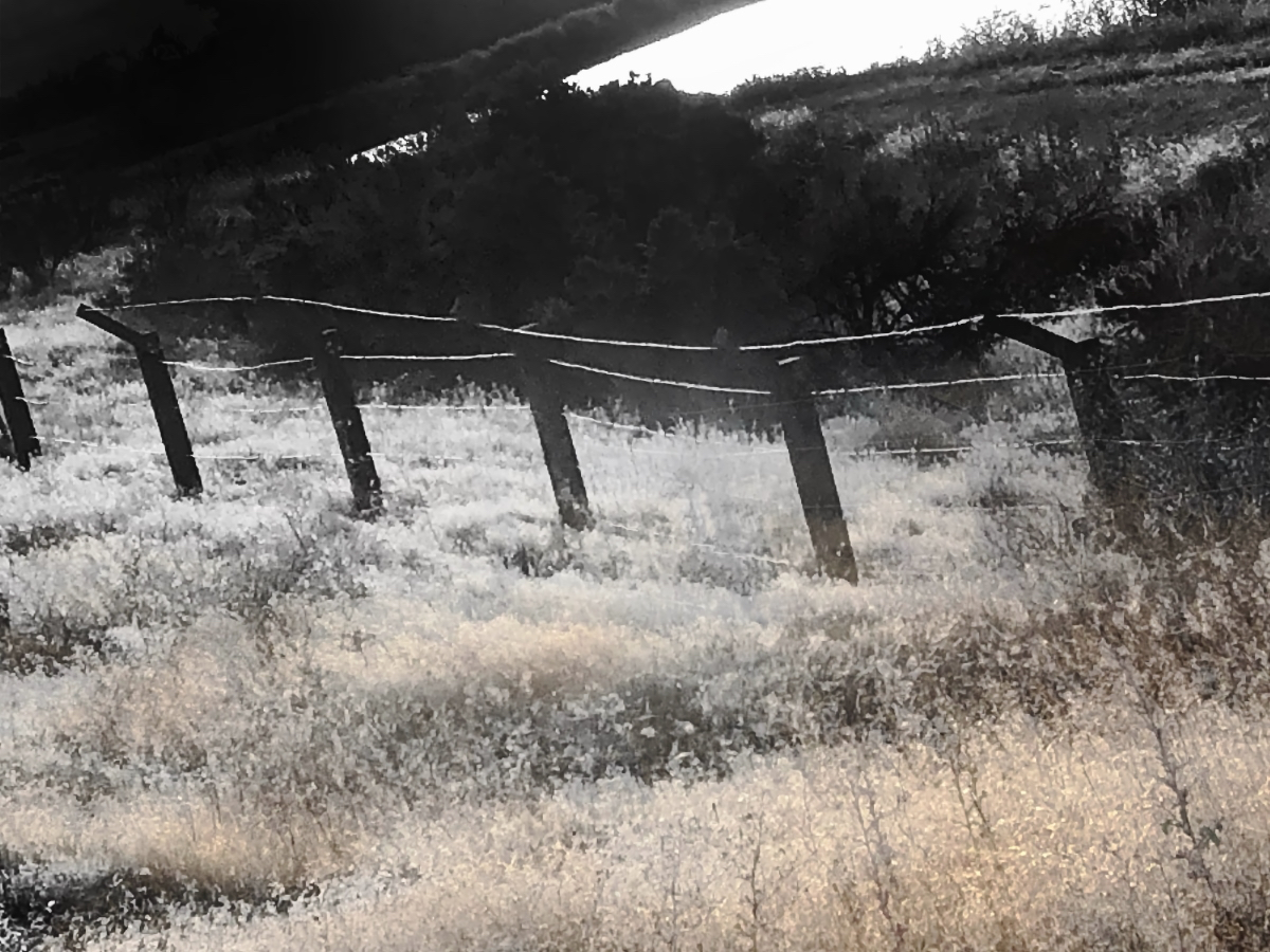 photograph by Tama Takahashi titled Barbed Wire showing the remains of a barbed wire fence around the Minidoka, ID concentration camp